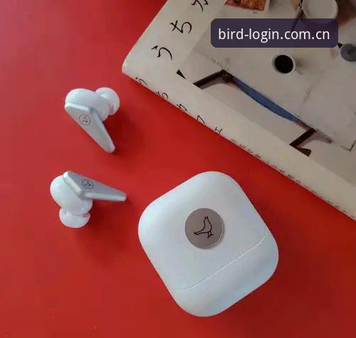 小鸟平台高效空间安装失败 小鸟体育平台高效空间安装失败解决教程——老用户手把手教你避坑